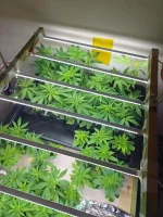 20241018_164958.webp