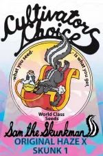 Cultivators-Choice-Sam-the-Skunkman-Original-Haze-X-Skunk1-scaled.webp
