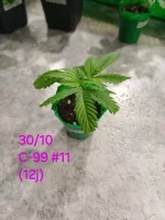20241030_193559.webp