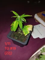 20241101_222834.webp