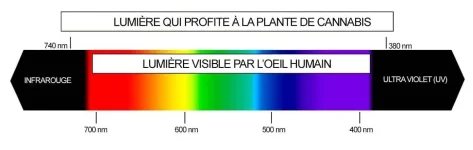 fr-espectro-c.webp