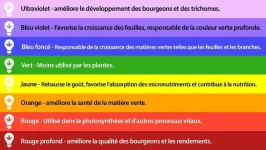 couleur.webp