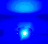 image.webp