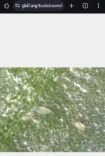 Screenshot_20241020_204805_Chrome.webp Screenshot_20241020_204805_Chrome.webp