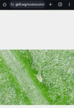 Screenshot_20241020_204832_Chrome.webp Screenshot_20241020_204832_Chrome.webp