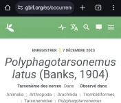 Screenshot_20241020_204849_Chrome.webp Screenshot_20241020_204849_Chrome.webp