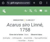 Screenshot_20241021_030942_Chrome.webp Screenshot_20241021_030942_Chrome.webp