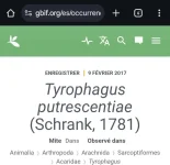 Screenshot_20241021_031129_Chrome.webp Screenshot_20241021_031129_Chrome.webp