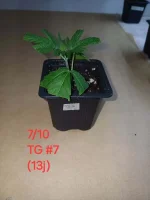 20241007_191859.webp