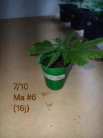 20241007_192120.webp