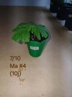 20241007_192211.webp