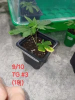 20241009_131756.webp