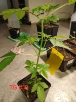 20241009_124903.webp