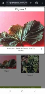 Screenshot_20241022_070649_Chrome.webp