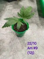 20241022_201912.webp
