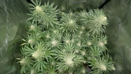 IMG-20241024-WA0003.webp