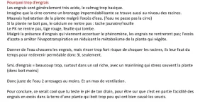 azo2.webp