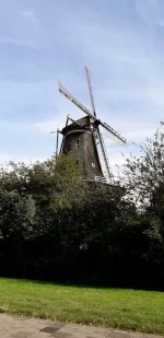 20190721_172321.webp