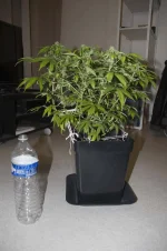 IMG_5521.webp IMG_5521.webp