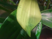20250123_105049.webp 20250123_105049.webp