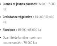 Lumens Optimaux.webp