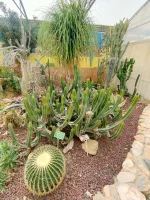 IMG20240404150615.webp IMG20240404150615.webp