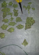 20250125_032851.webp