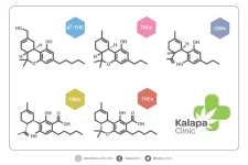 cannabinoides-cannabinoids-cannabinoide-cannabinoidi-2048x1366.webp