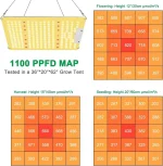 Niello1000W.webp Niello1000W.webp