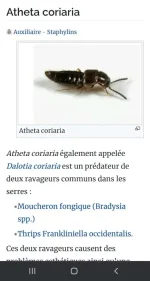 Screenshot_20250123_163400_Chrome.webp Screenshot_20250123_163400_Chrome.webp