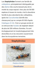 Screenshot_20250123_183801_Chrome.webp Screenshot_20250123_183801_Chrome.webp