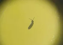 20250130_235311.webp 20250130_235311.webp