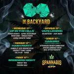 bckd1.webp