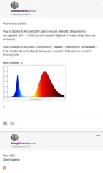Zuz.webp