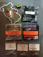 commande terpy 2025.webp commande terpy 2025.webp