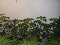 20250314_151441.webp 20250314_151441.webp