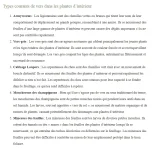 type de vers dans les plantes interieur.webp