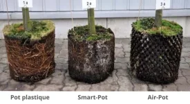 Différence-pots-pour-culture-de-cannabis-pot-en-plastique-vs.-Smart-Pot-vs.-Air-Pot.webp