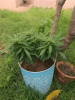 IMG_20170215_173535.webp