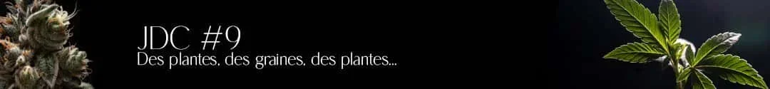 titre jdc 9 d.webp
