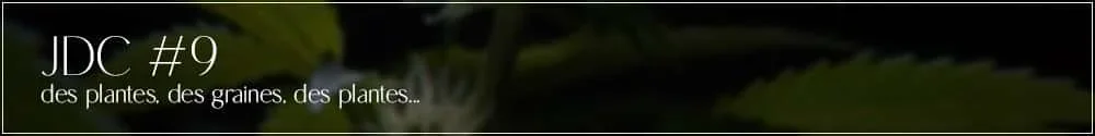 titre jdc 9.webp