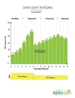 DLI-Chart.webp