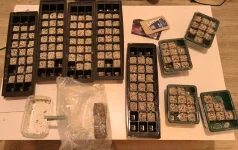 IMG_20250919_211923045 (1).webp