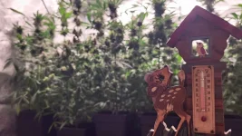 bambi.webp
