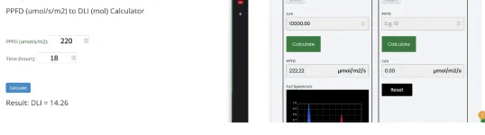 lux.webp