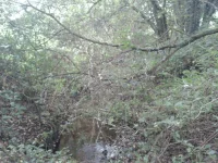2012-08-24 14.30.23.webp