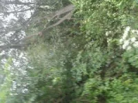 1345813213196.webp