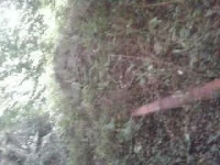 1345813141855.webp