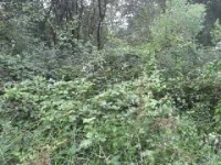 1345812230641.webp