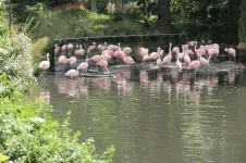 IMG_1440 (Copier).webp IMG_1440 (Copier).webp